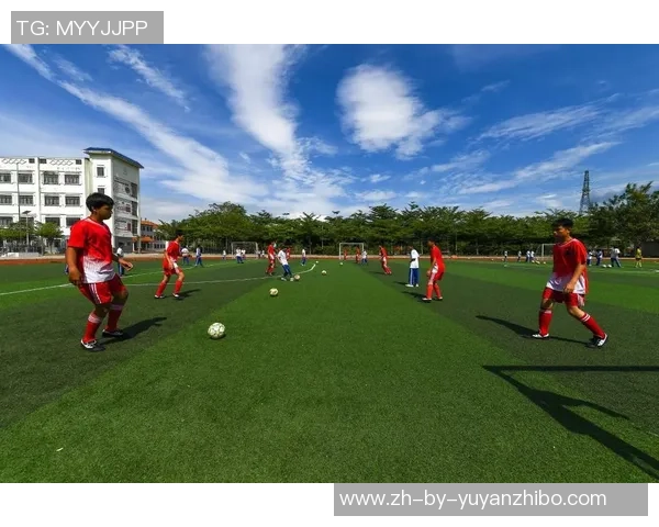 足球转让市场动态分析及未来发展趋势探讨与投资机会解析